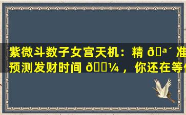 紫微斗数子女宫天机：精 🪴 准预测发财时间 🌼 ，你还在等什么